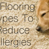 fiveflooringtypestoreduceallergies