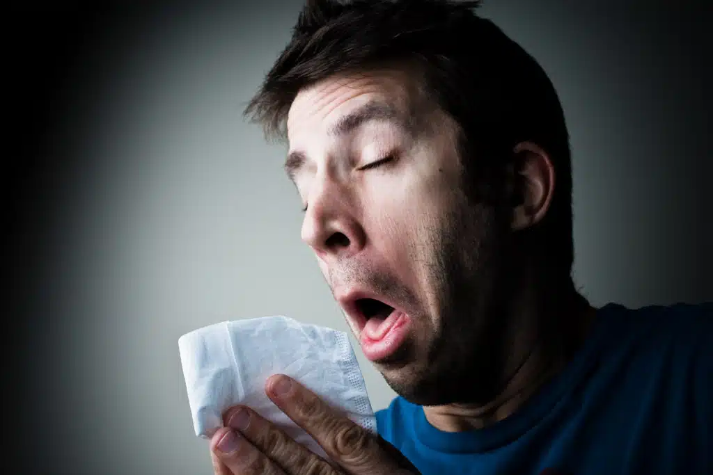 indoor allergies