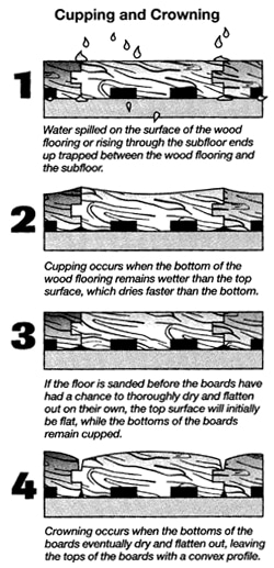 Cupping and Crowning in Hardwood