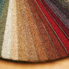 Samples of color of a carpet covering