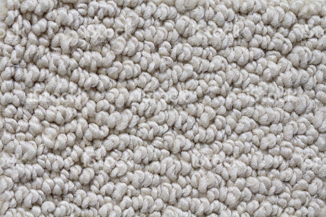 white carpet