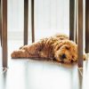 tim-foster--IS9Q6Cmfw8-unsplash