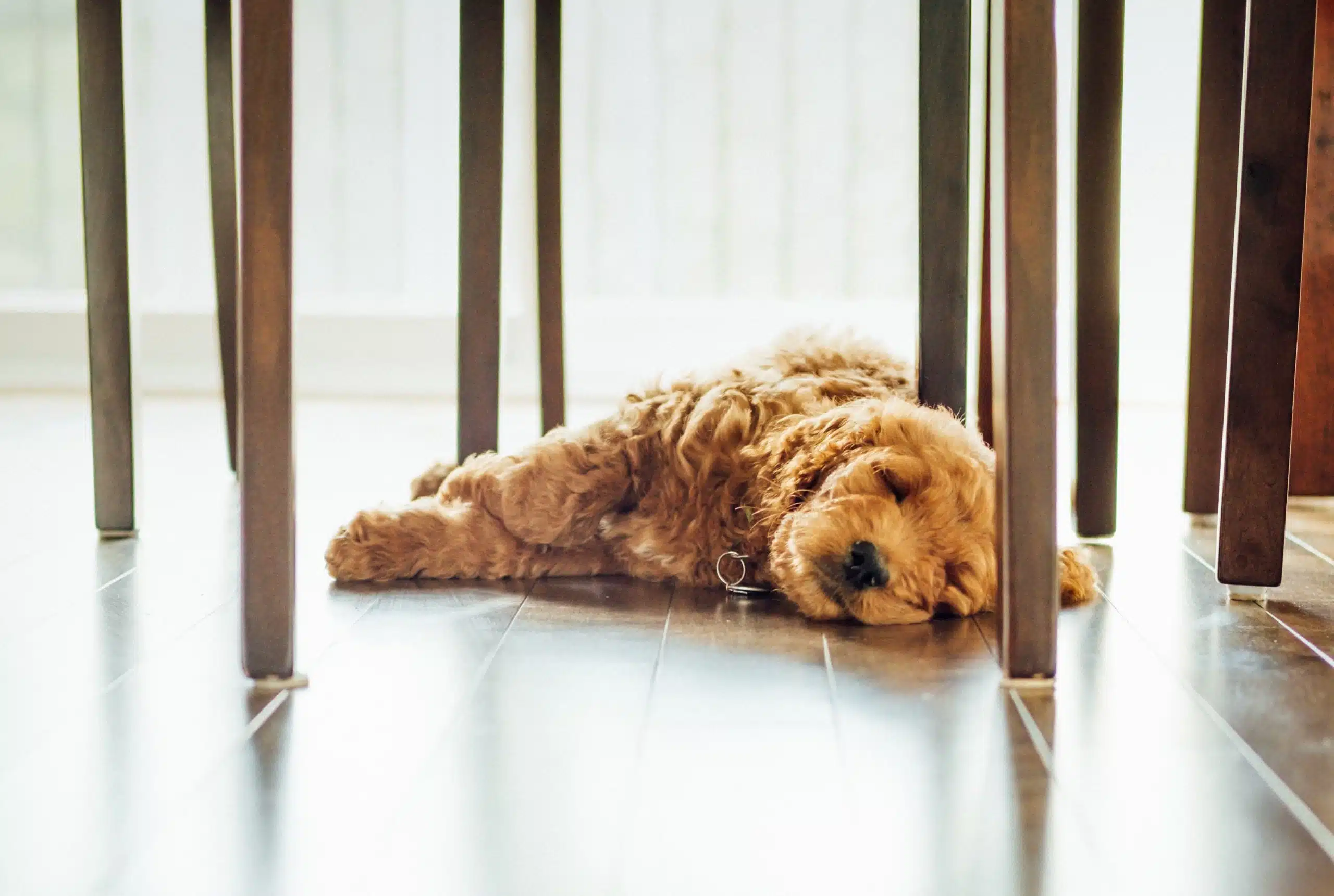 A Guide to Different Types of Flooring: Exploring Popular Options for Your Home